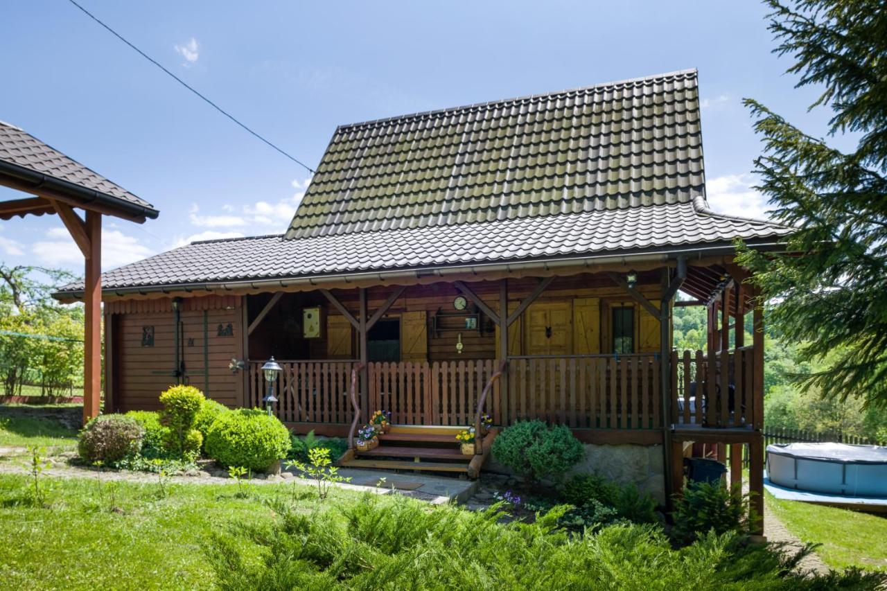 Villa Andrzejowka Kocon Esterno foto