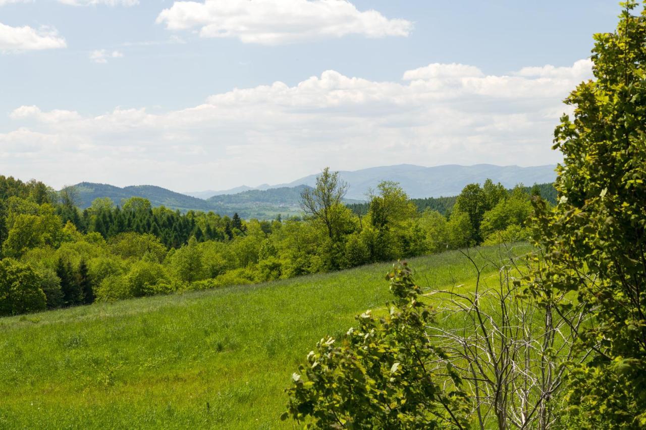 Villa Andrzejowka Kocon Esterno foto